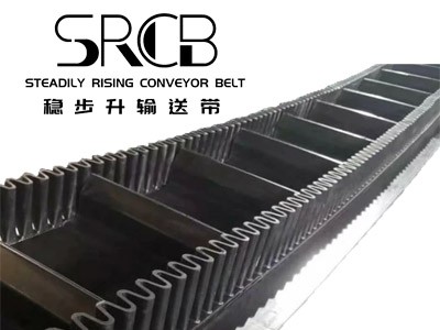 Conveyor belt