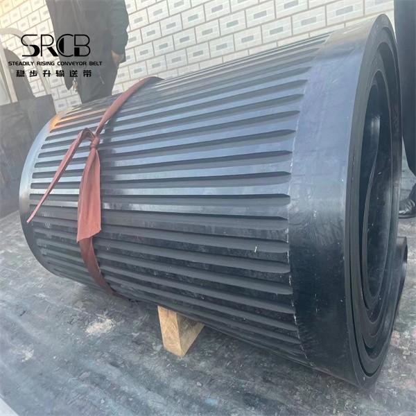 Filter conveyor belt