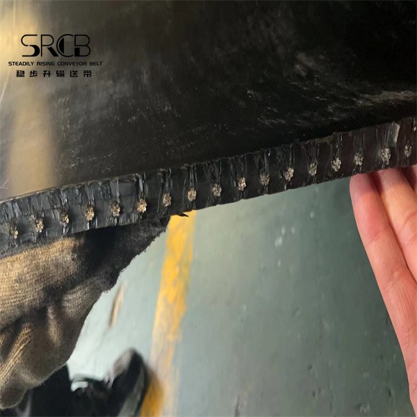 Steel cord conveyor belt