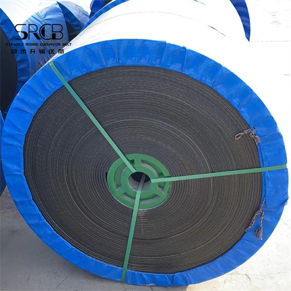 acid and alkali-resistant conveyor belt