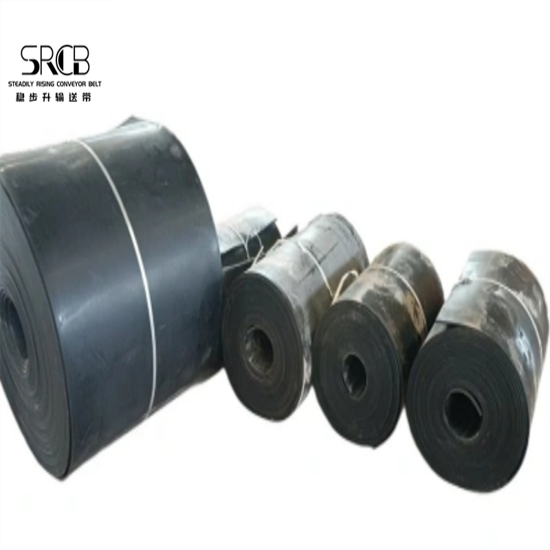 The prospect analysis of nylon conveyor belt in market