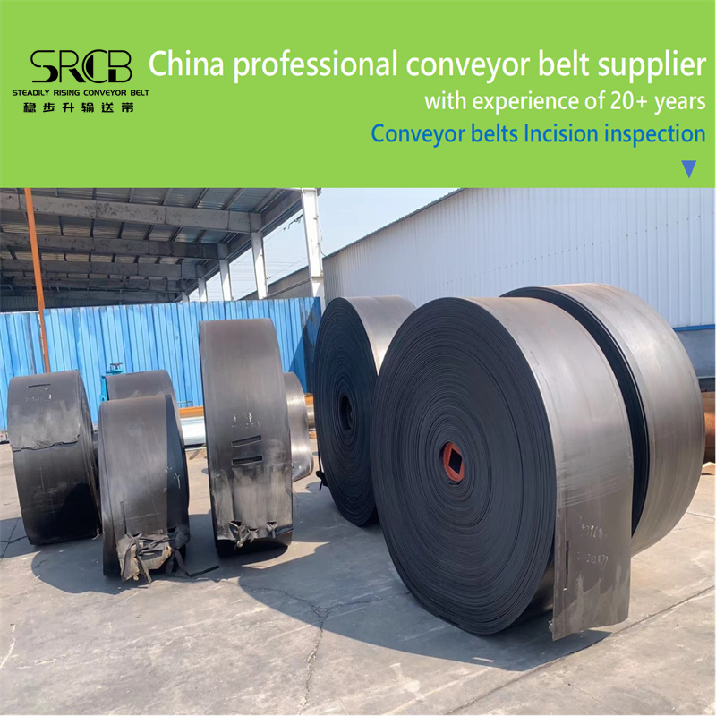 Acid and alkali resistant conveyor belt