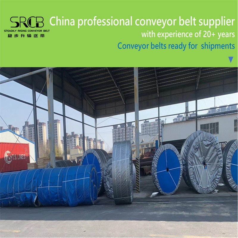 Acid and alkali resistant conveyor belt