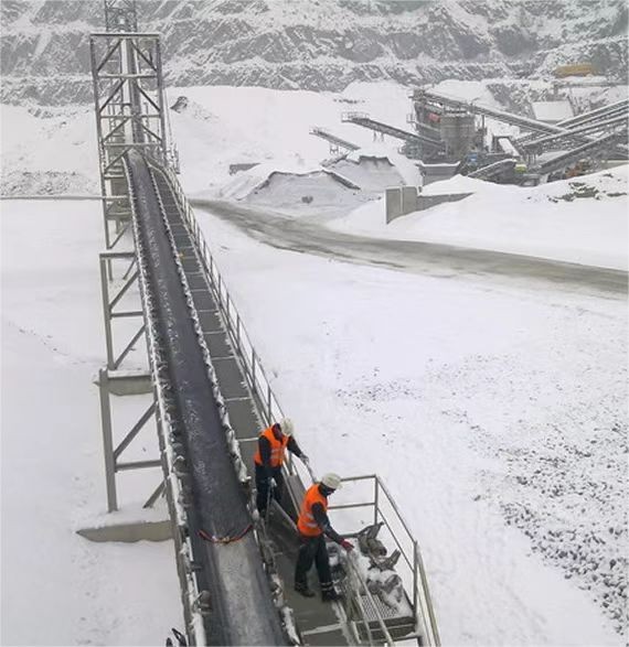 Cold-resistant conveyor belt