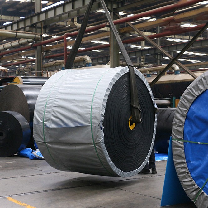 Steel cord conveyor belt