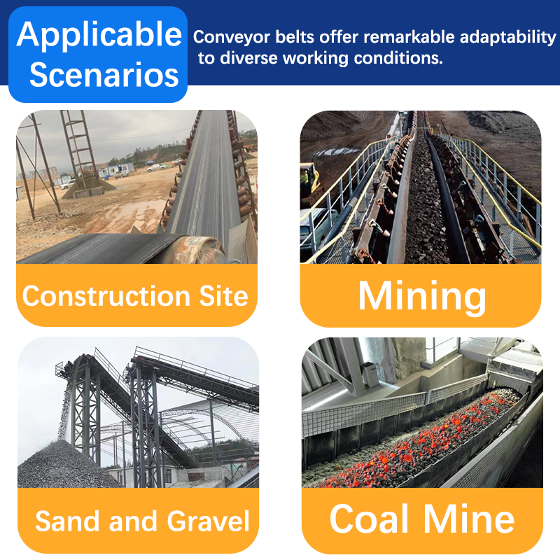 Steel cord conveyor belt