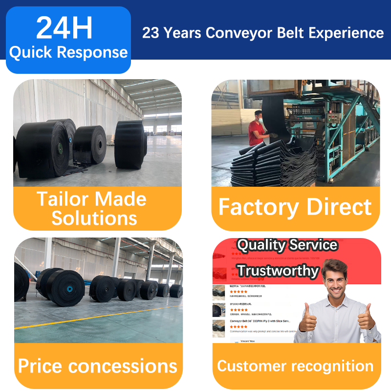 Steel cord conveyor belt