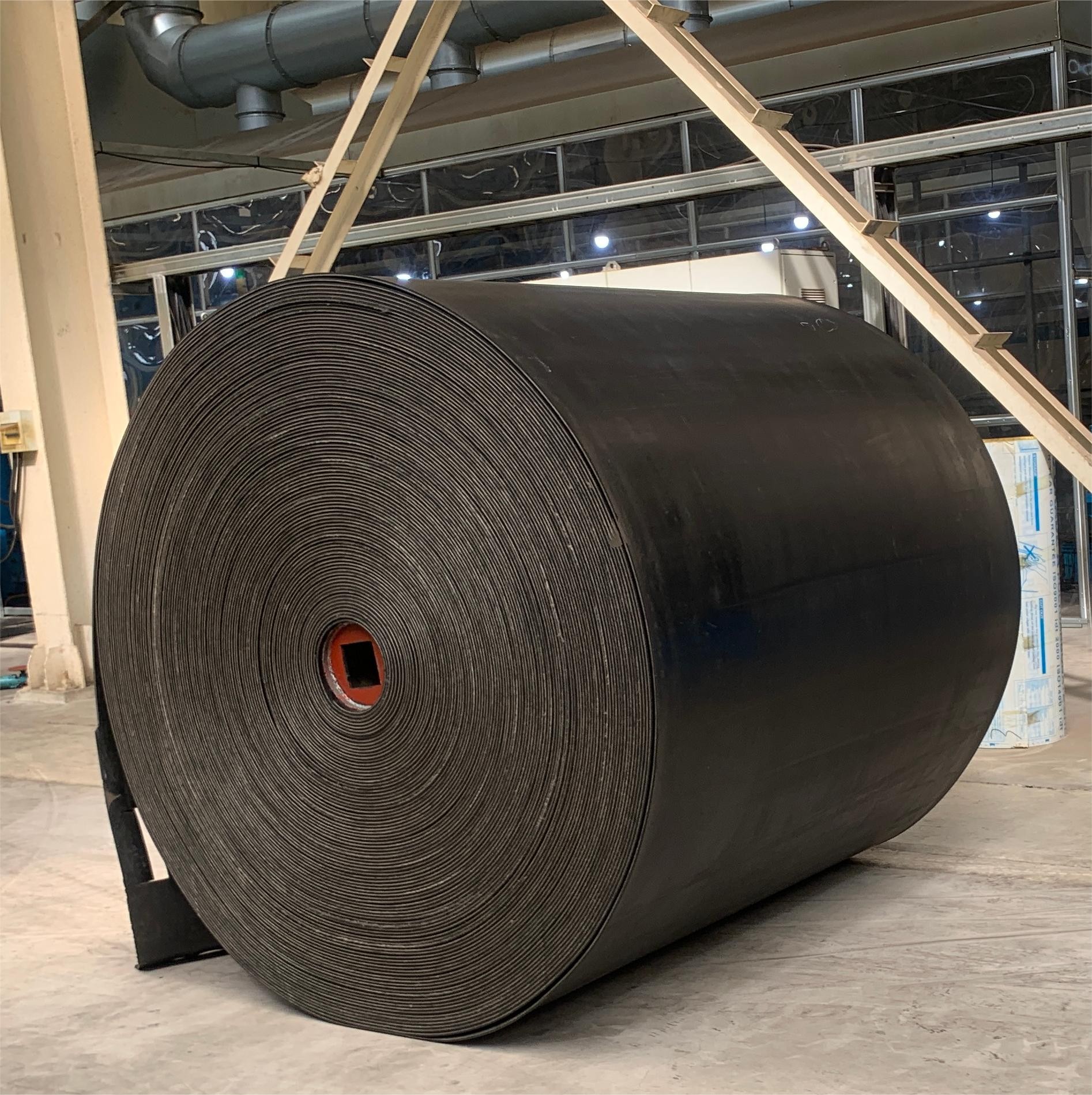 Oil resistant conveyor belt