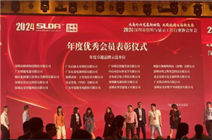 2024 Shenzhen Lighting and Display Engineering Industry Association Annual Conference