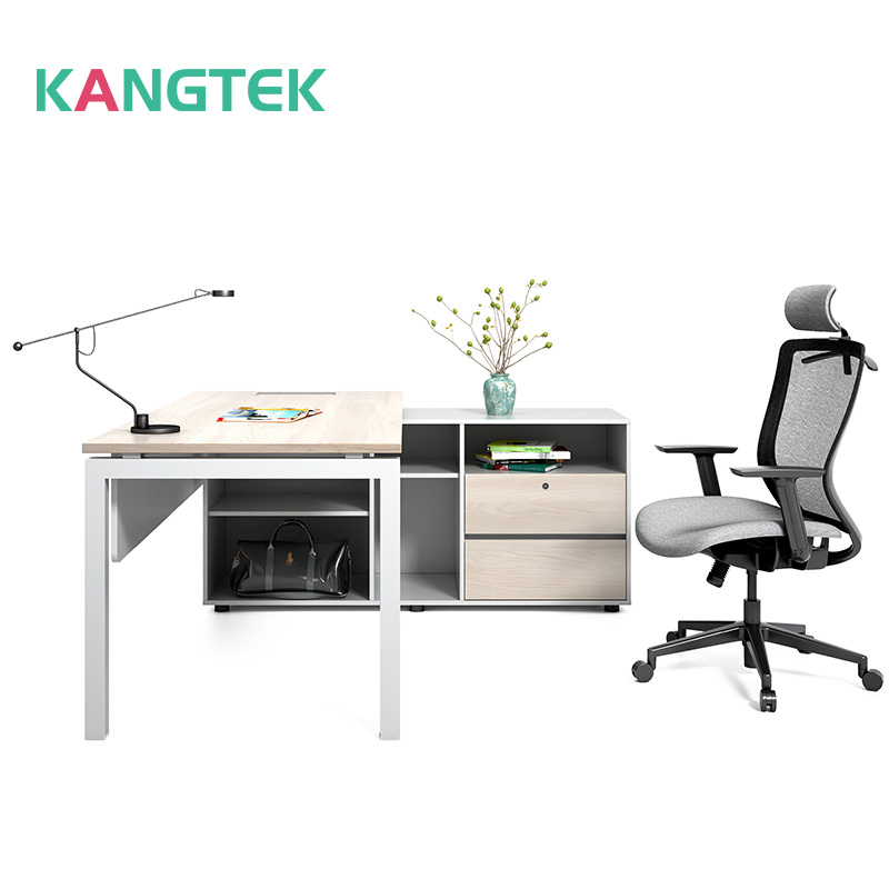 Large Desk in Doctor's Office