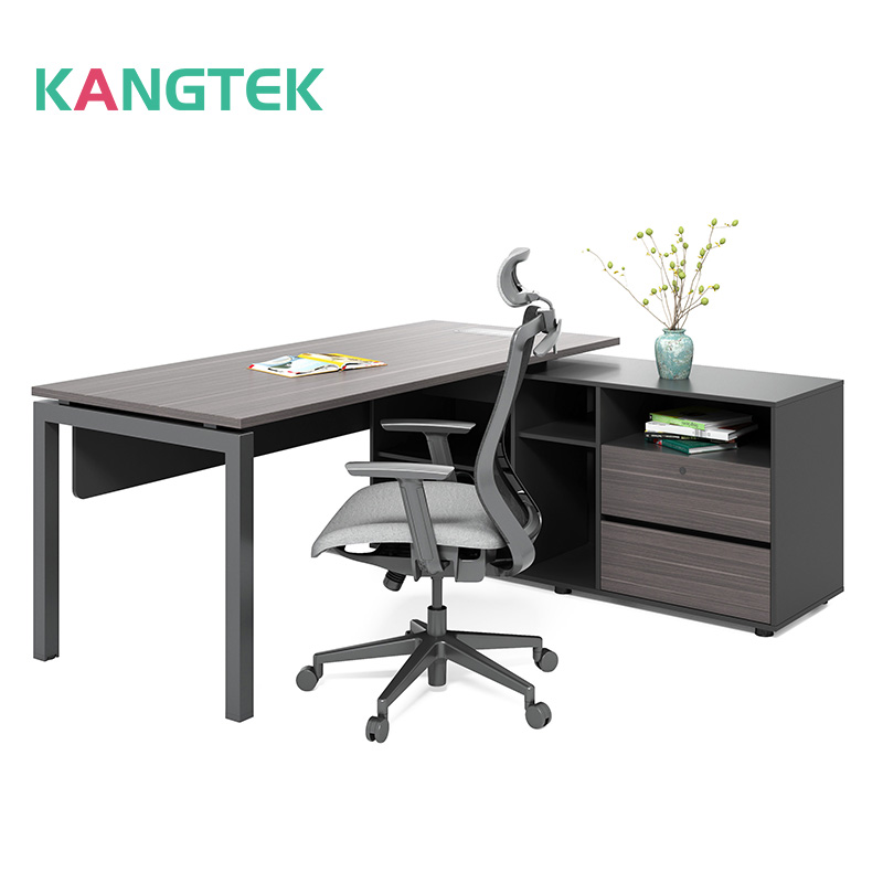 Large Desk in Doctor's Office