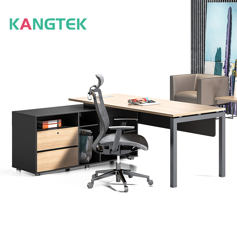 Large Desk in Doctor's Office