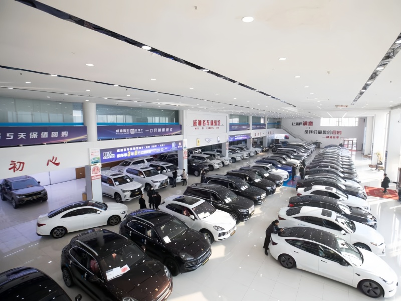 Weidi Famous Car Experience Hall