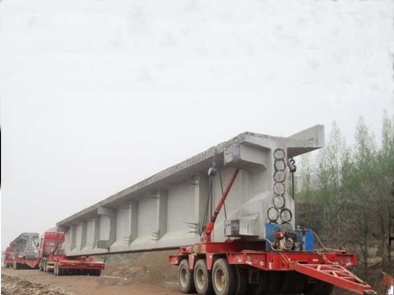 Multi Axle Hydraulic Trailer