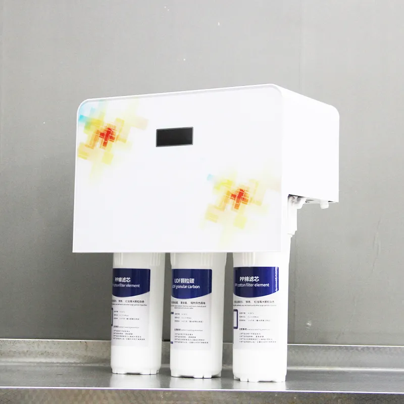 Home water purifier