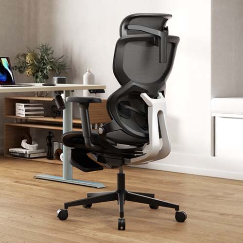 Những đặc điểm chính của ghế công thái học là gì