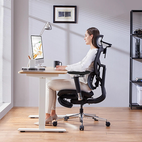 Kursi Kantor Ergonomis yang Dapat Disesuaikan dengan Sandaran Punggung dan Penyangga Lumbar Ganda