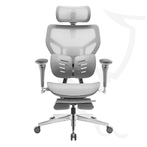 Kursi Kantor Ergonomis yang Dapat Disesuaikan dengan Sandaran Punggung dan Penyangga Lumbar Ganda