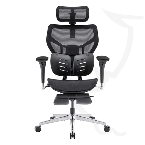 Kursi Kantor Ergonomis yang Dapat Disesuaikan dengan Sandaran Punggung dan Penyangga Lumbar Ganda