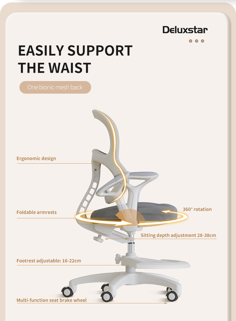 Adjustable Study Chair