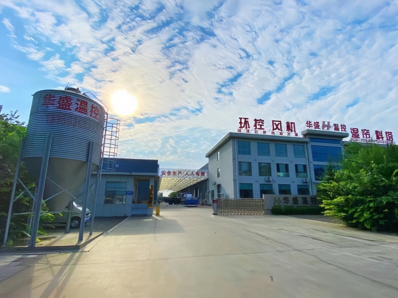 Company Profile Video