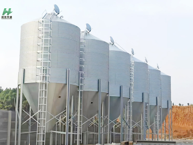 275g Galvanized Silo na May Pangunahing Feeding System Para sa Chicken Pig Farm