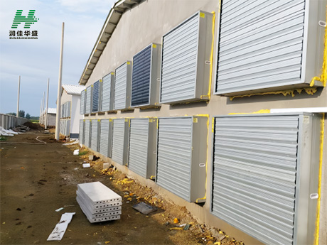 Un cliente de Lahar, Pakistán, compra 1000 ventiladores de 50 pulgadas para una granja avícola