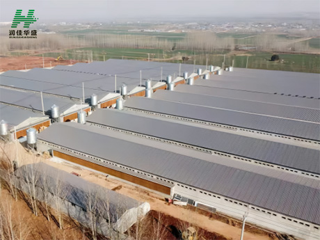 Instalación de un sistema completo de silo de alimentación con control ambiental para una empresa del grupo chino