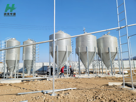 Customers Of Vietnamese Pig Farms Purchase Feed Silos