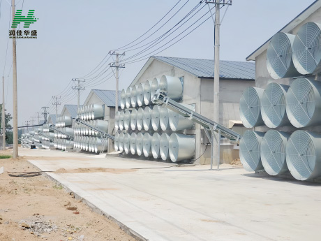 Indonesian Customers Purchase Butterfly Cone Fans