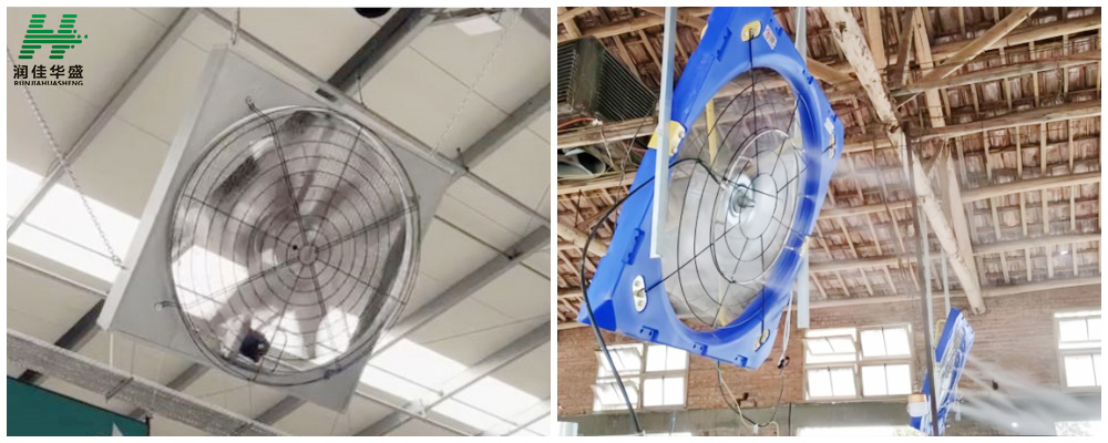 dairy farm exhaust fan