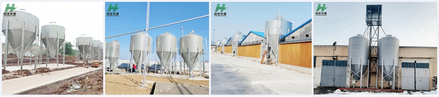 chicken pig farm silo