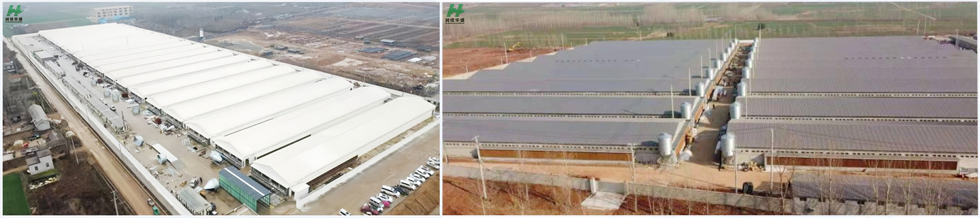 silo with main feeding system