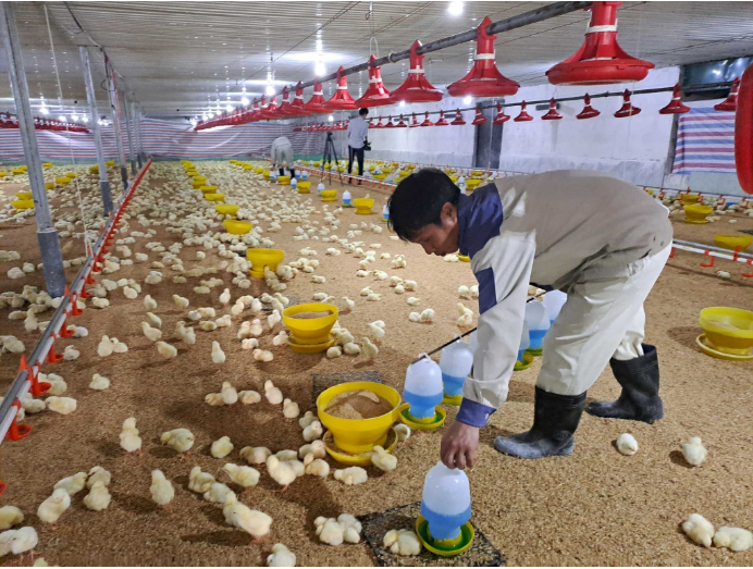 Farm Ventilation Fans