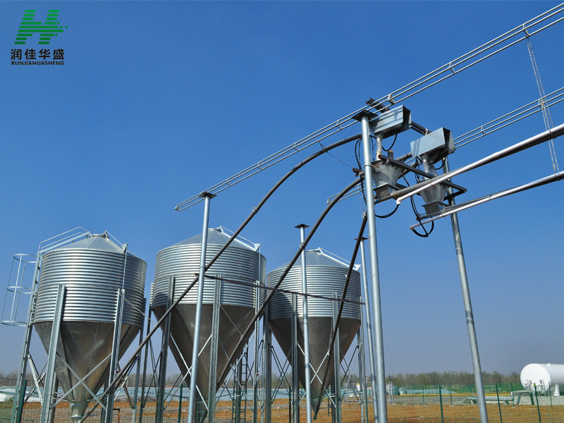 Pig Farm Chicken Farm Automatic Feed Silo With Auger System