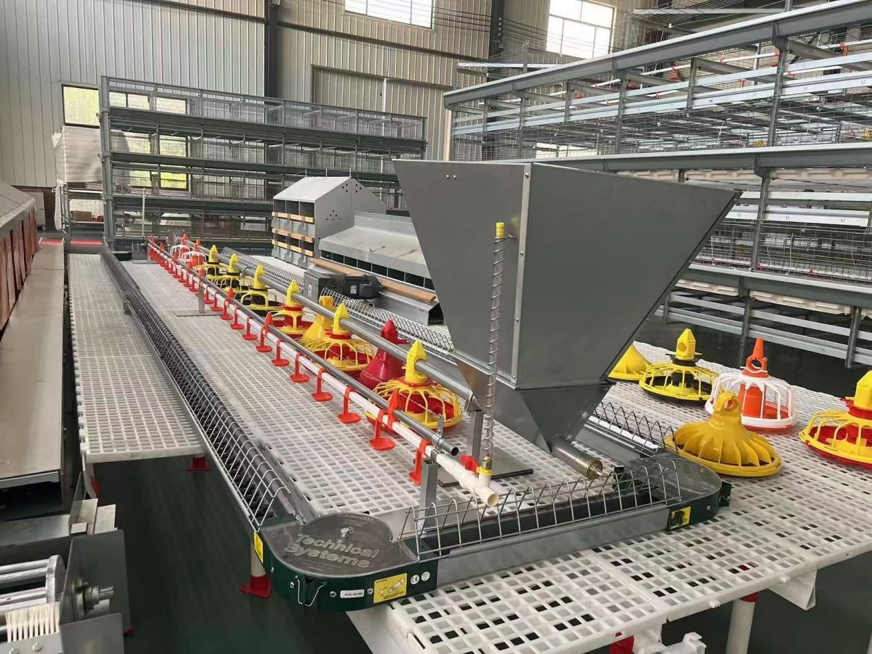 Automatic feeding pan for chicken house