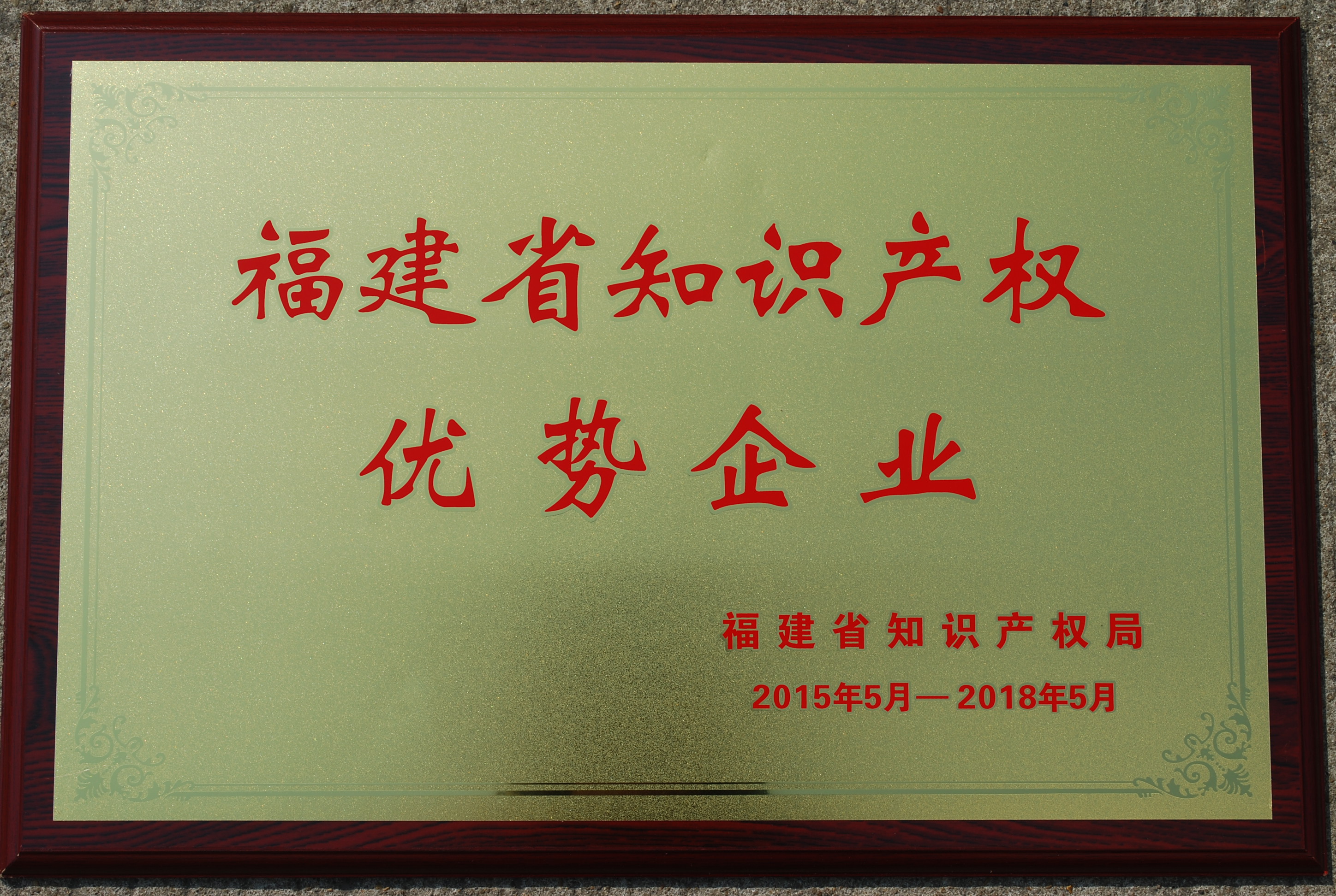 Empresa de ventajas de propiedad intelectual de la provincia de Fujian