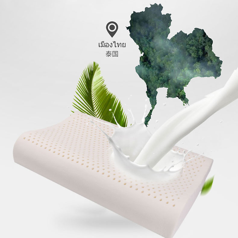 naturelle latex pillow