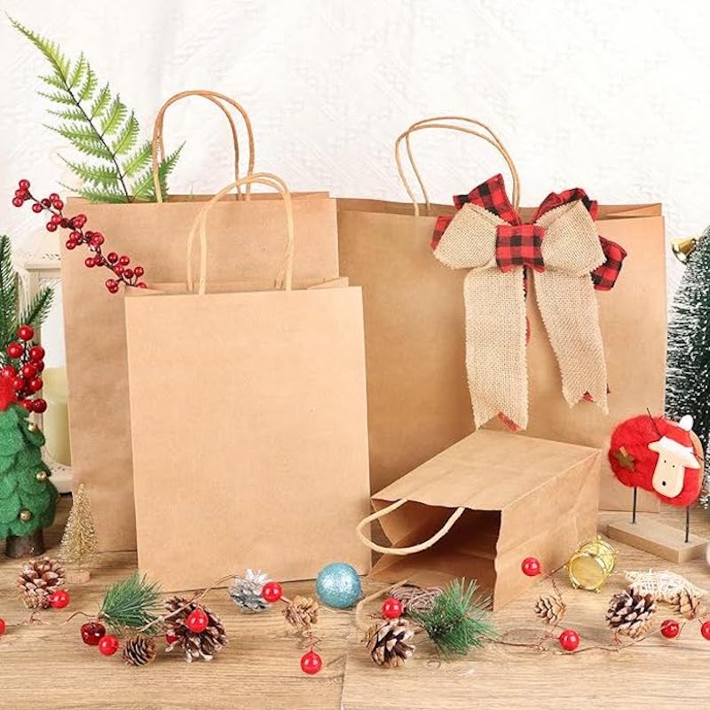 paper bags with handles