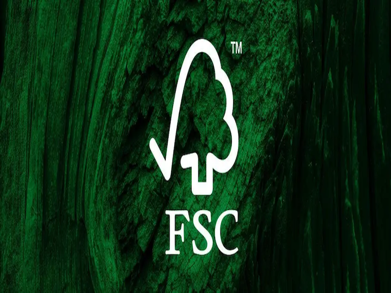 Çevresel taahhüt garantisi