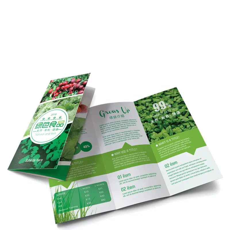 3 fold brochure design