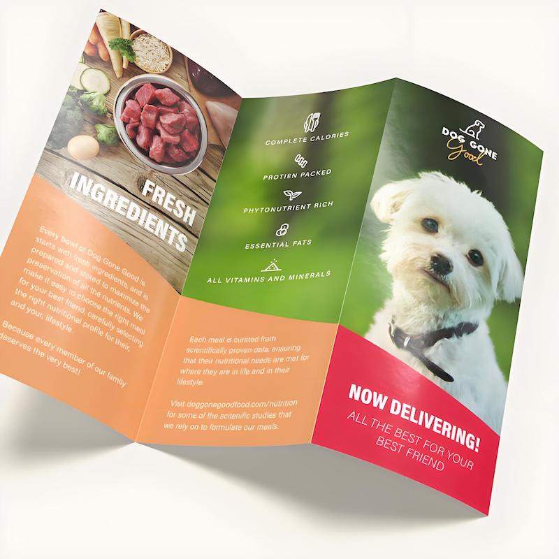 brochure printing brochure printing