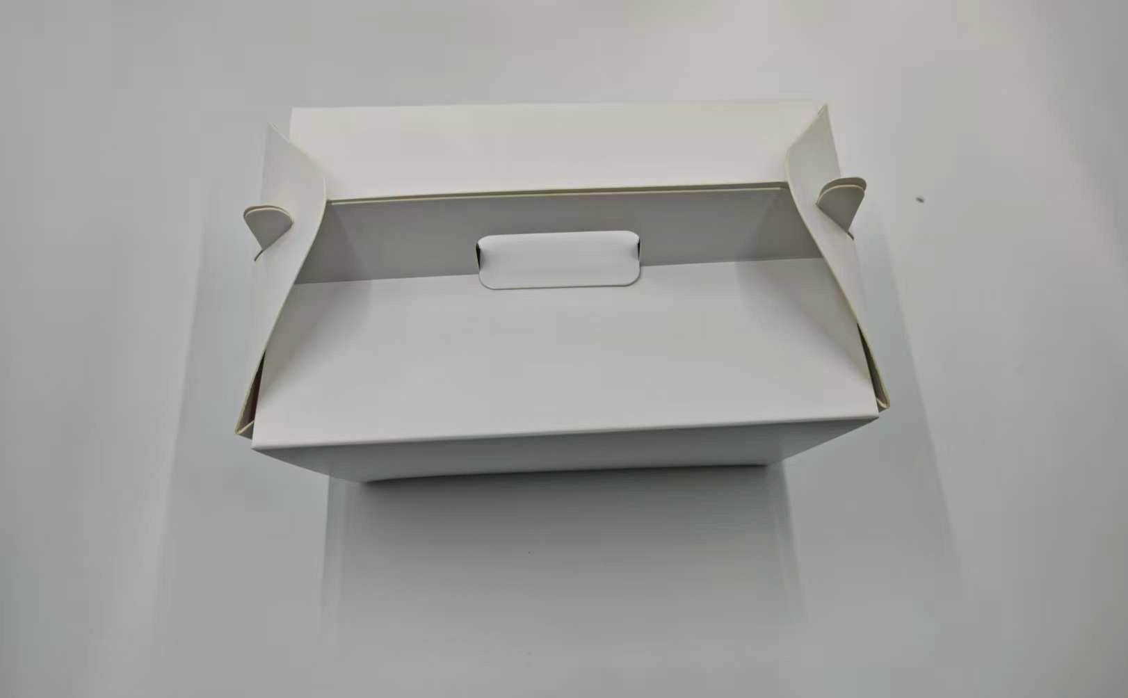 Foldable Food Box
