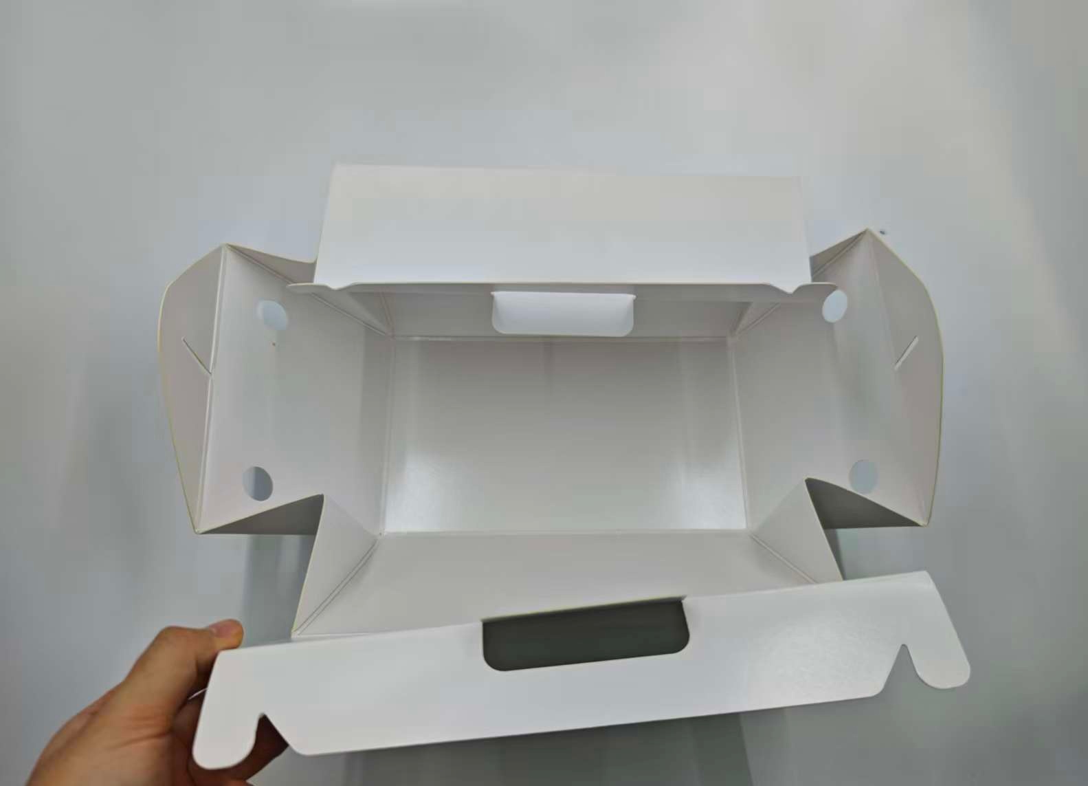 Foldable Food Box