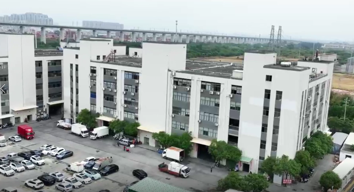 6000㎡ Packaging Factory — Full Production Line Tour