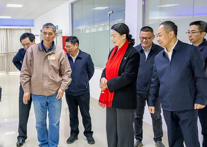 Handheld Small Pinpointer Handheld Small Pinpointer