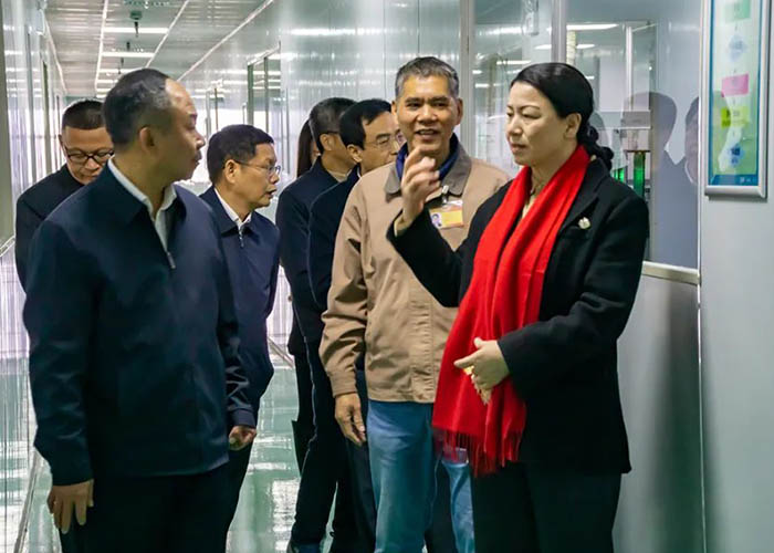 Gold Metal Detector IP68 Gold Metal Detector IP68