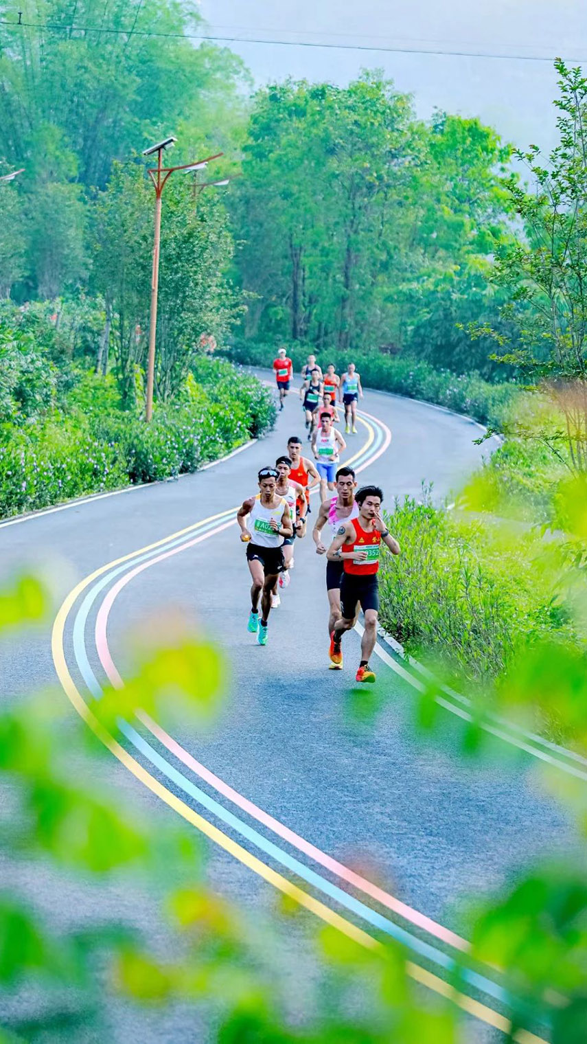 Underwater Metal Detector Underwater Metal Detector