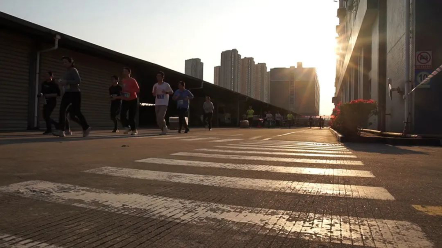 Metal Detectors Scanner