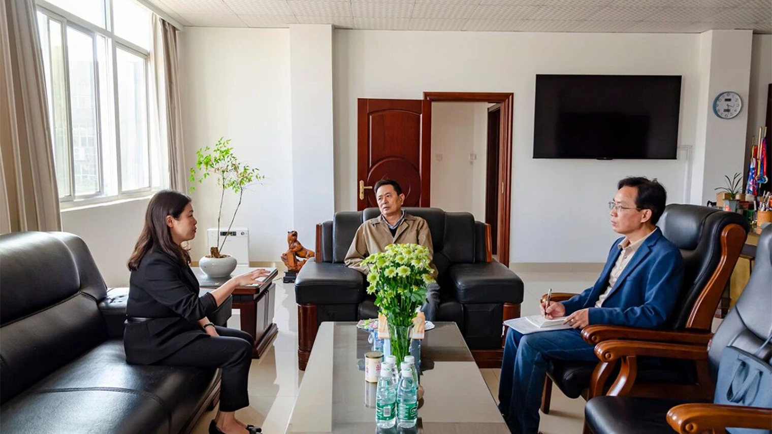 Sound Vibration Alarm Metal Detector Sound Vibration Alarm Metal Detector